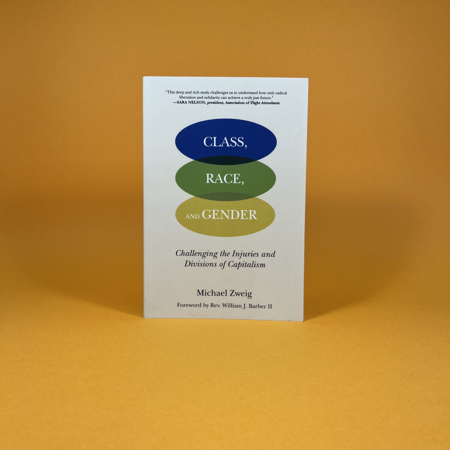 Class, Race, and Gender: Challenging the Injuries and Divisions of Capitalism