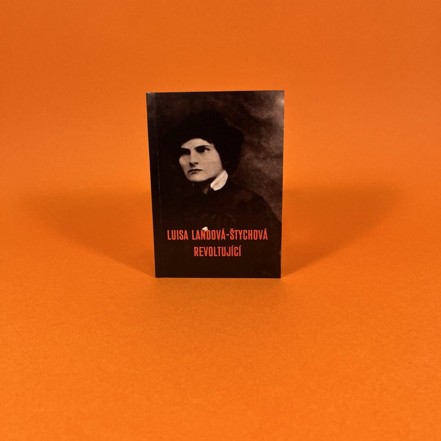 Luisa Landová-Štychová revoltující