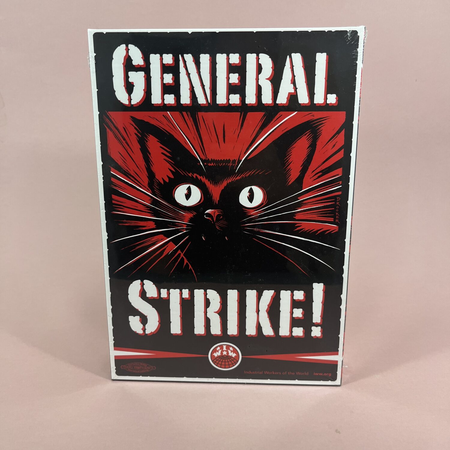 Puzzle General Strike