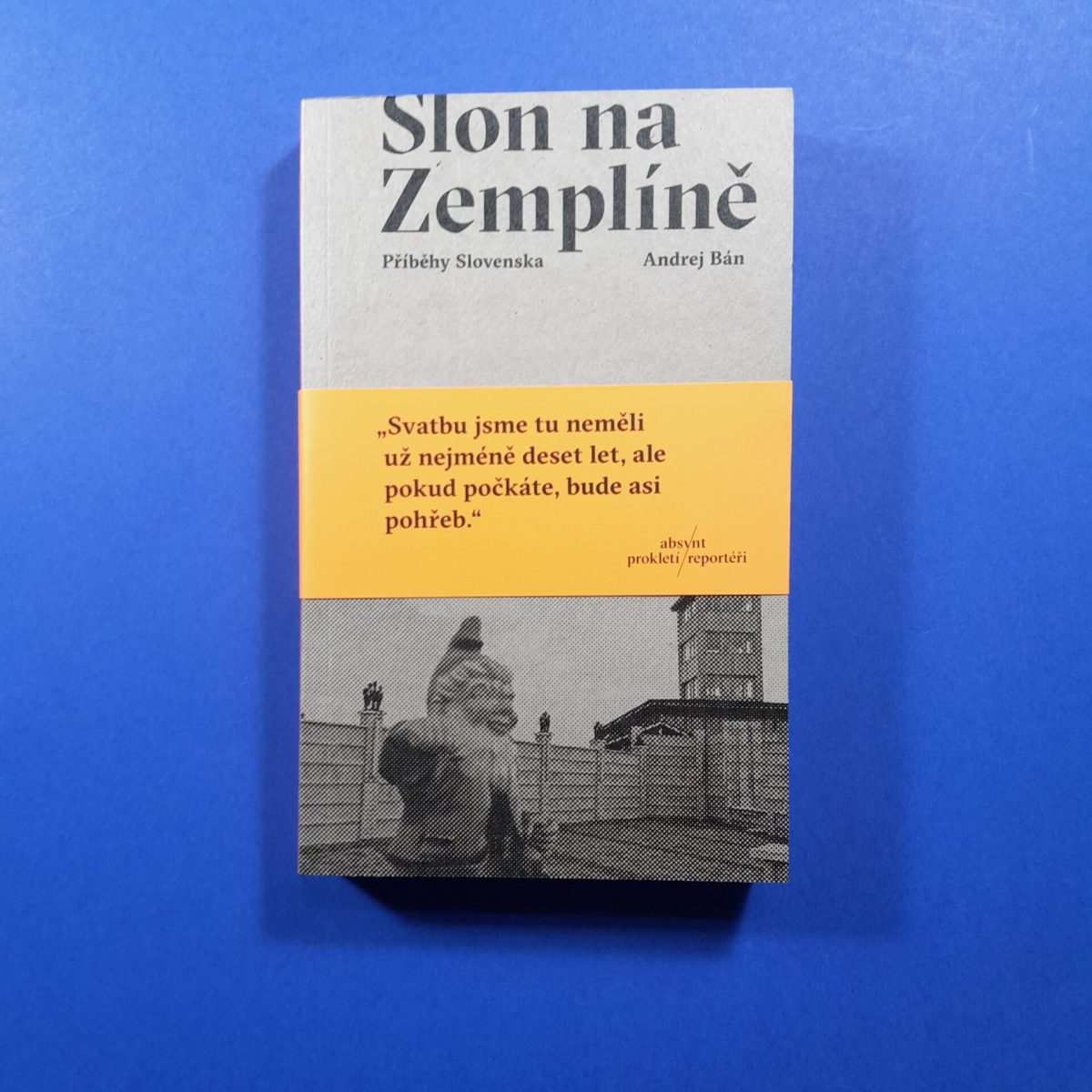 Slon na Zemplíně