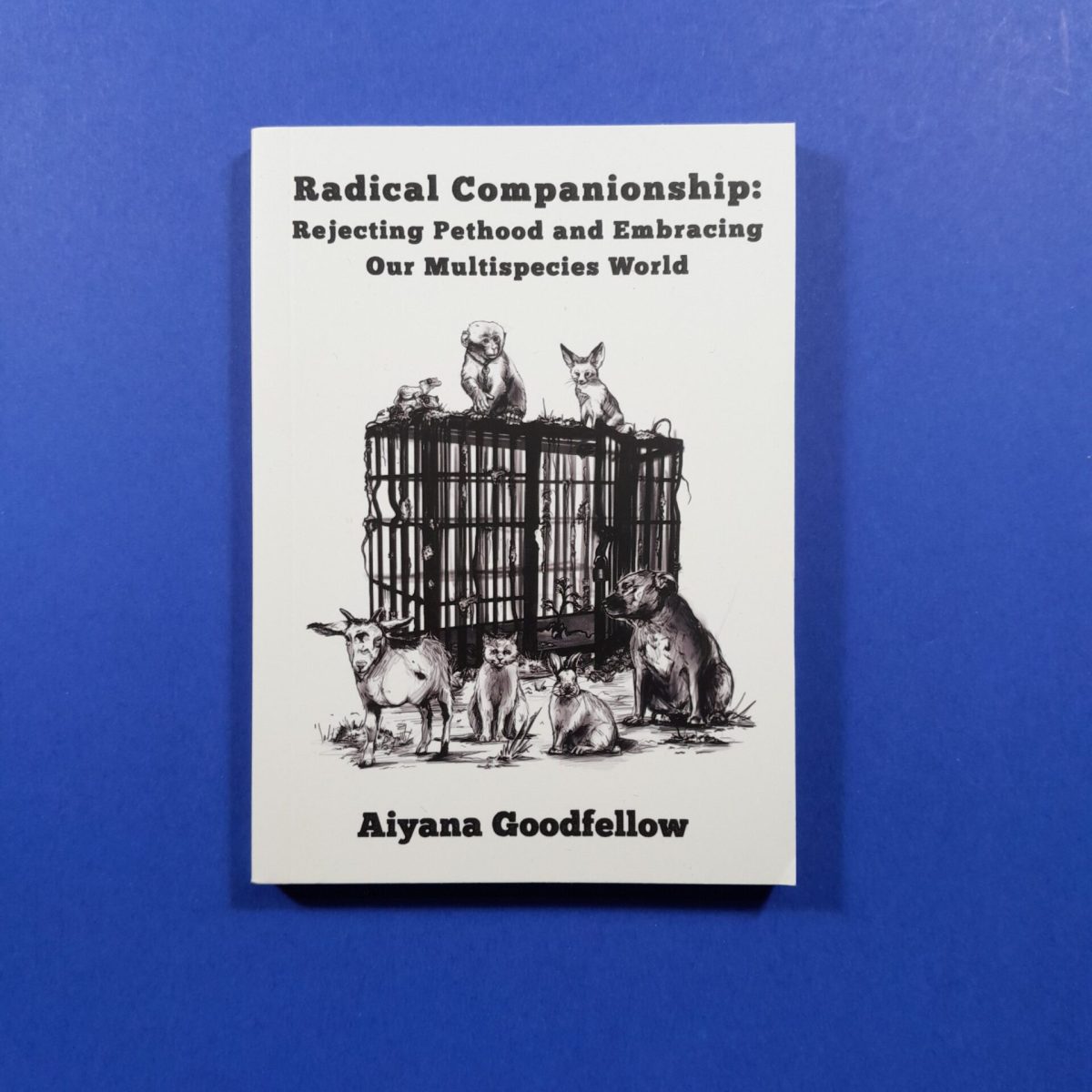 Radical Companionship: Rejecting Pethood and Embracing Our Multispecies World