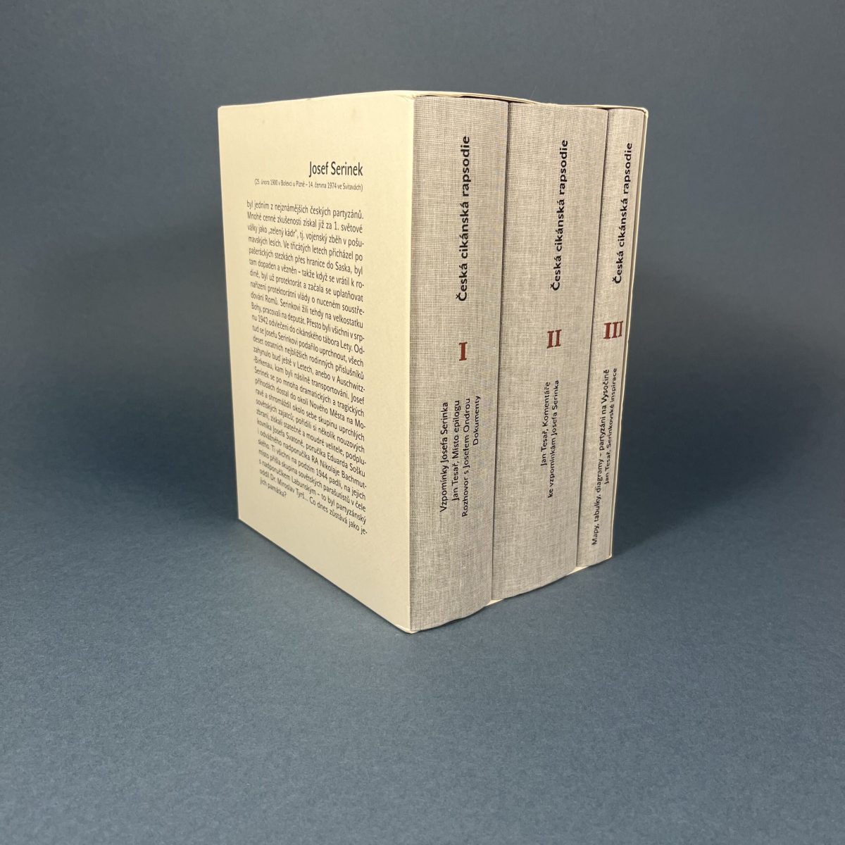 Česká cikánská rapsodie