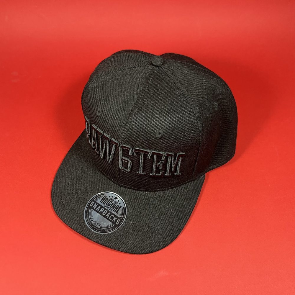 Snapback Raw Rave