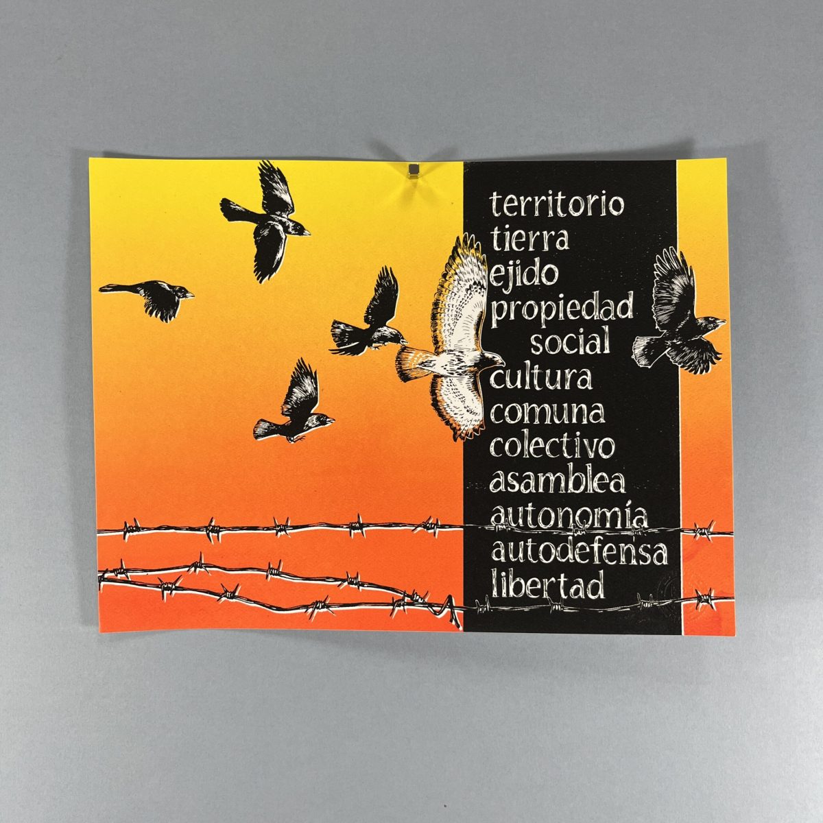 Gráfica sin Fronteras / Territorio y Libertad 05