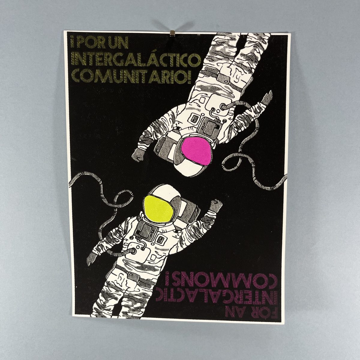 Gráfica sin Fronteras / Territorio y Libertad 19