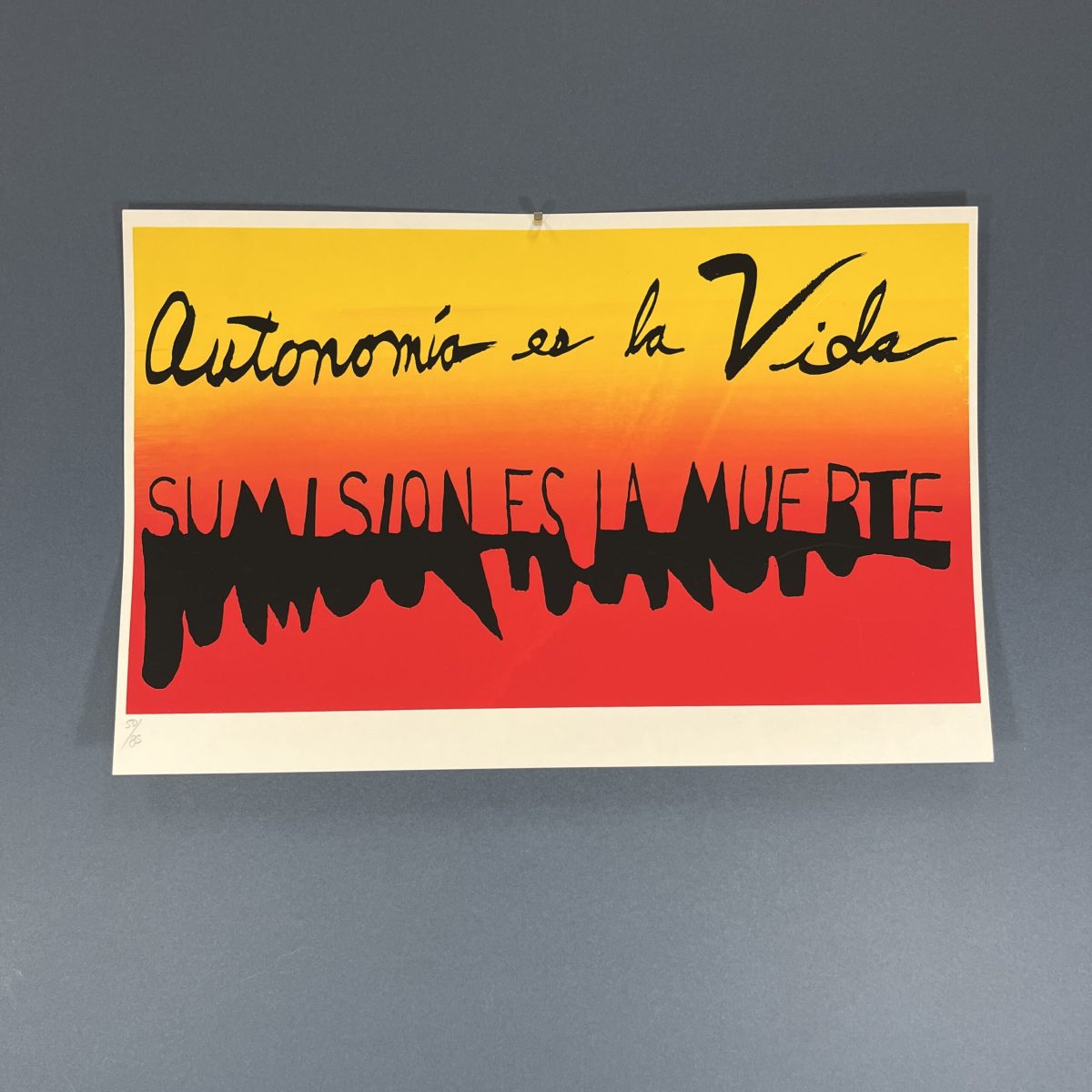 La Autonomia es La Vida, La Sumisión es La Muerte 17