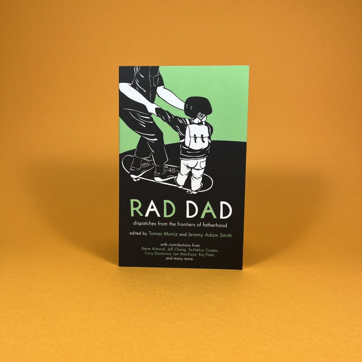Rad Dad: Dispatches from the Frontiers of Fatherhood