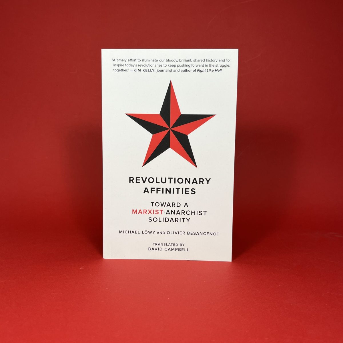 Revolutionary Affinities: Towards a Marxist-Anarchist Solidarity