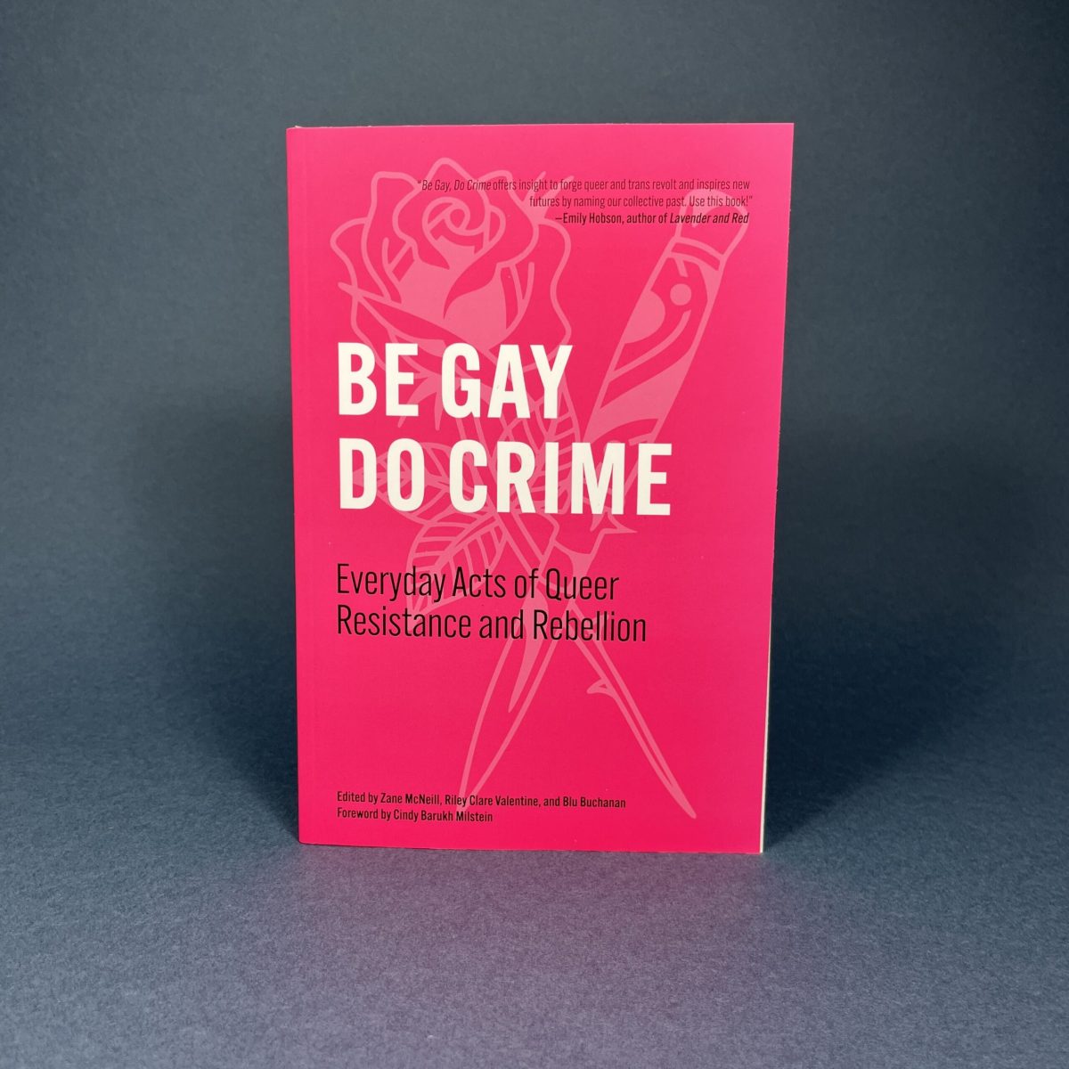 Be Gay, Do Crime: Everyday Acts of Queer Resistance and Rebellion