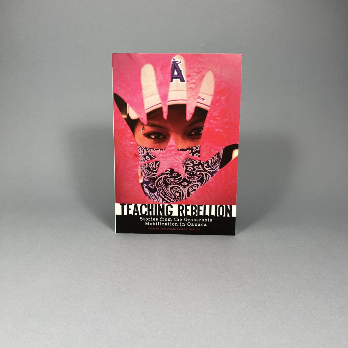 Teaching Rebellion: Stories from the Grassroots Mobilization in Oaxaca