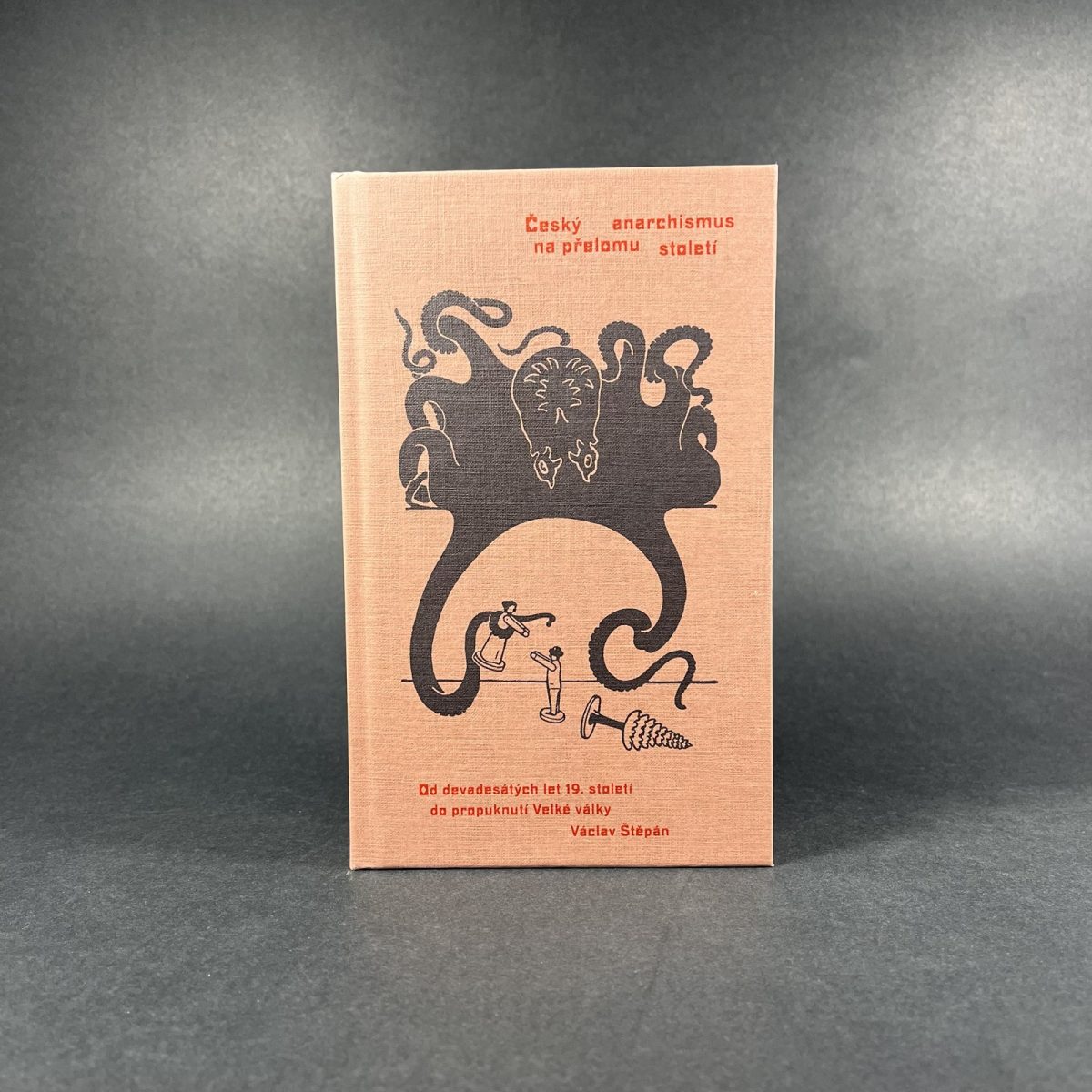 Český anarchismus na přelomu století