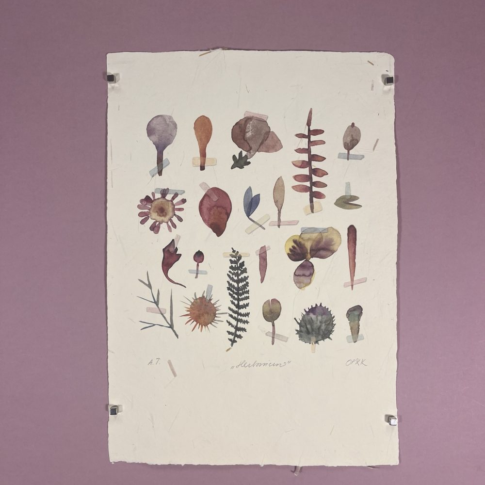 Herbarium 1
