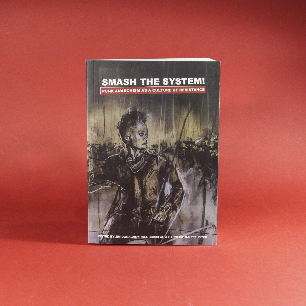 Smash the System! Punk Anarchism as a Culture of Resistance