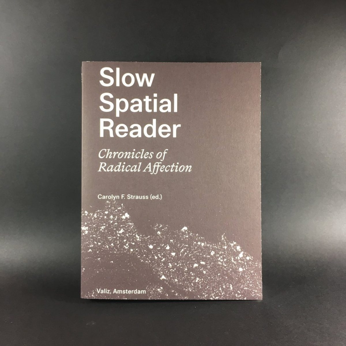 Slow Spatial Reader: Chronicles of Radical Affection