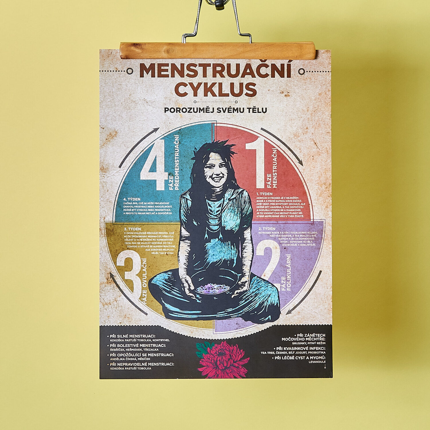 Menstruační cyklus