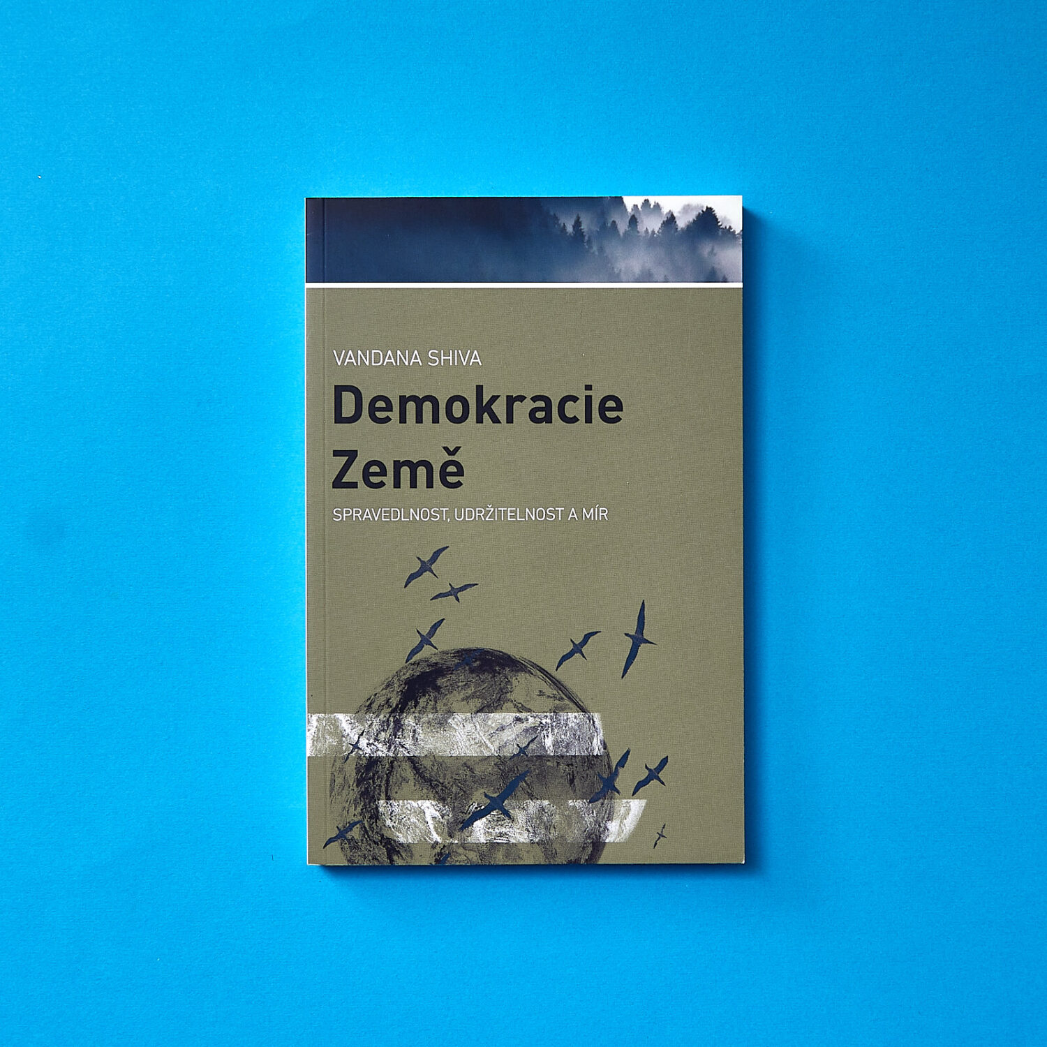 Demokracie Země
