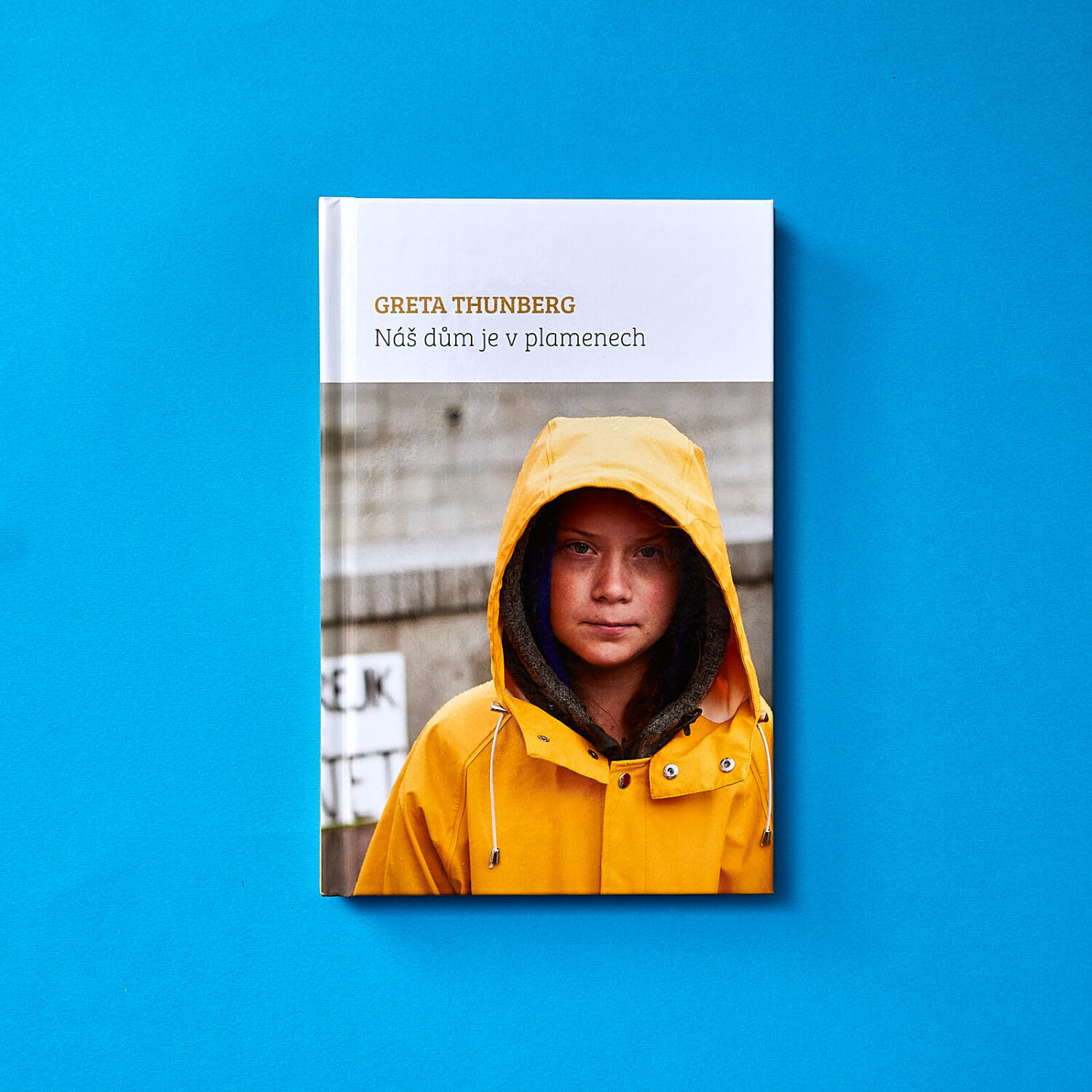 Náš dům je v plamenech