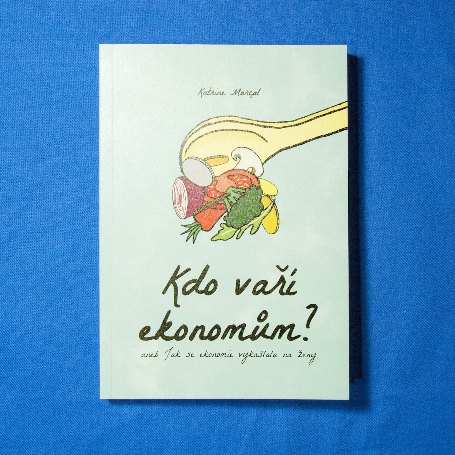 Kdo vaří ekonomům?