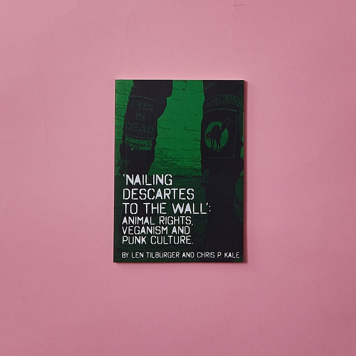 Nailing Descartes to the Wall