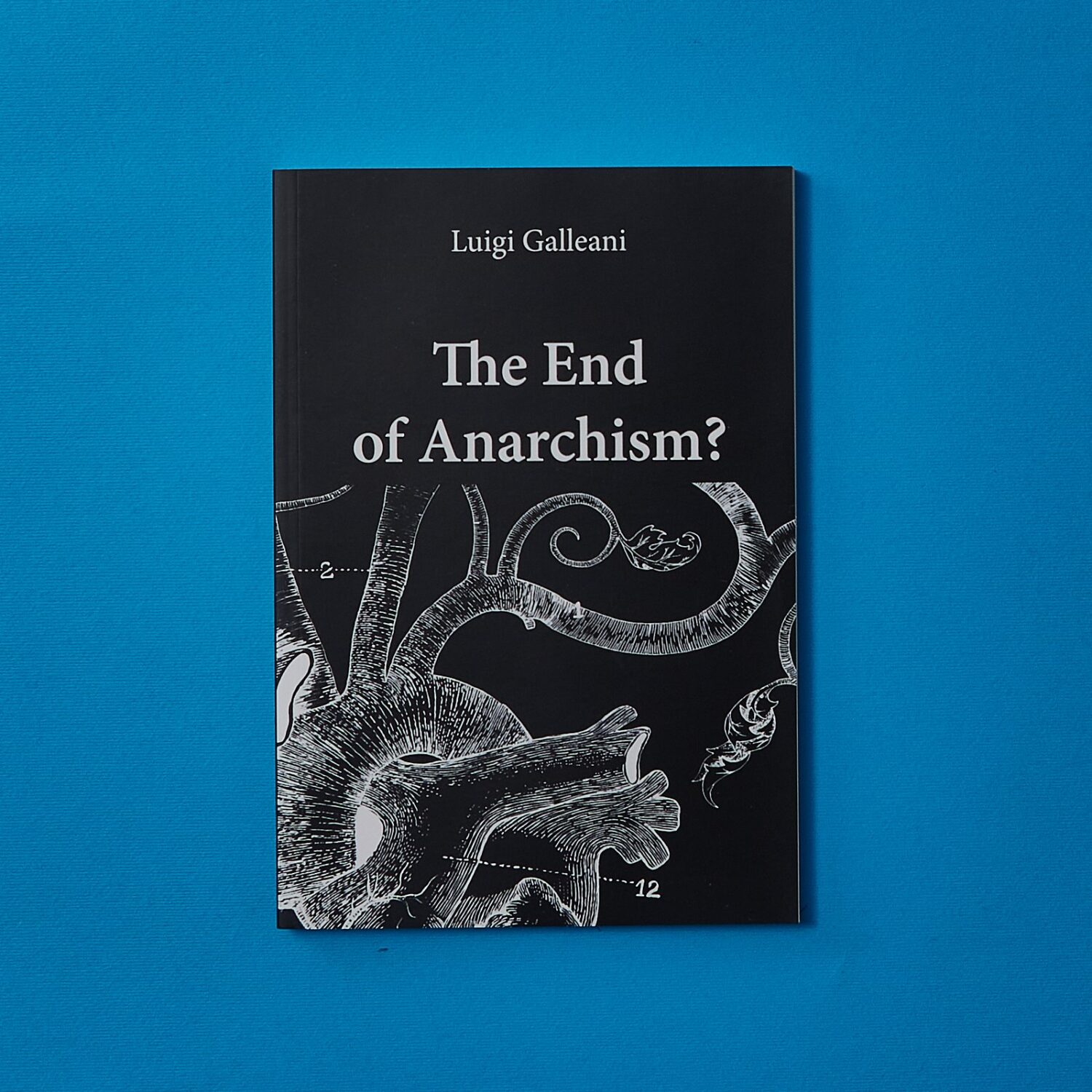 The End of Anarchism?